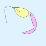 IMG_000000.jpg ( 9 KB ) with Shi-cyan applet